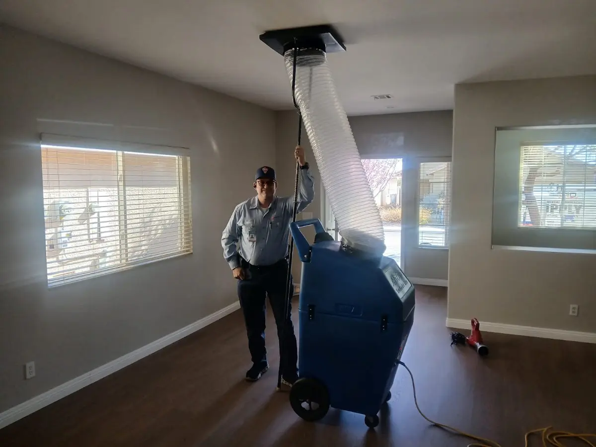 Professional Dryer Vent Cleaning work inside a Parkwood home